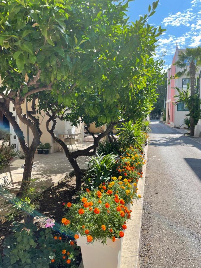 Apartments Lati 乌尔齐尼 外观 照片